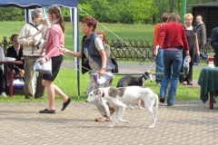 2010_05_30_11