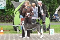 2010_05_30_18