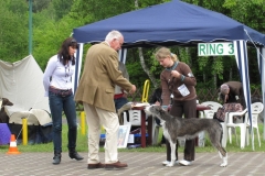 2010_05_30_19