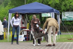 2010_05_30_20
