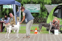 2010_05_30_28