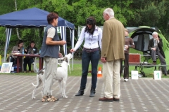 2010_05_30_29