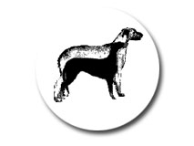 logo_0