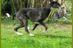 2010_05_01_04