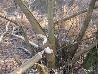 2009_01_01_02