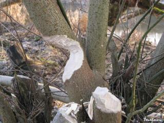 2009_01_01_03