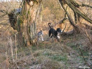 2009_01_01_04