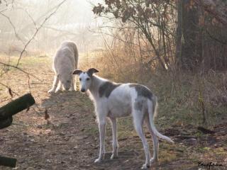 2009_01_01_10