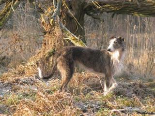 2009_01_01_13