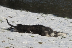 2011_01_30_06