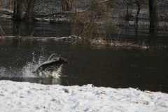 2011_01_30_17