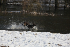 2011_01_30_18