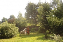 2013-07-28_a16