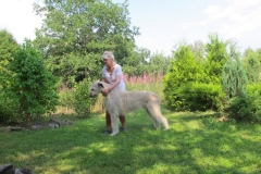 2013-07-28_r6