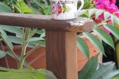 2013-07-28_wid8