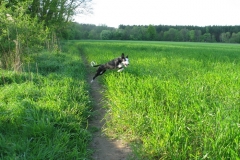 2007_05_05_05