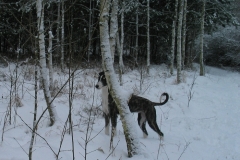 2007_01_27_04