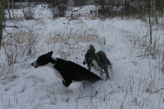 2007_01_27_09