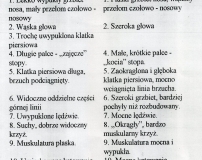 st_1-nggid041754-ngg0dyn-320x240x100-00f0w010c010r110f110r010t010