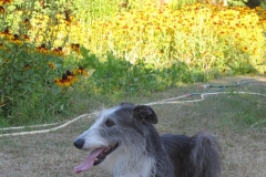 2013-07-25_5