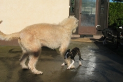 2006_zabawa_19