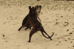 2013_02_14_04