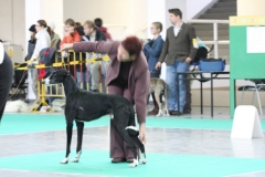 2007_11_11_01