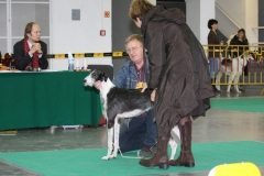 2007_11_11_07