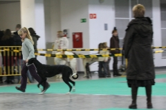 2007_11_11_13
