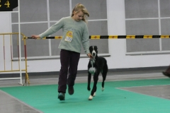2007_11_11_15