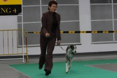 2007_11_11_16