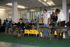 2006_poznan_24