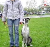 mia_01-nggid03129-ngg0dyn-320x240x100-00f0w010c010r110f110r010t010