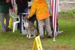 ritta_01-nggid03130-ngg0dyn-320x240x100-00f0w010c010r110f110r010t010