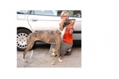 ritta_03-nggid03132-ngg0dyn-320x240x100-00f0w010c010r110f110r010t010