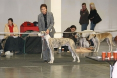 cacib_poznan_2005_01