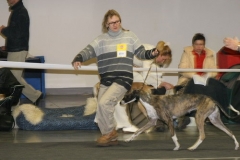 cacib_poznan_2005_03
