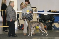 cacib_poznan_2005_04