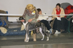 cacib_poznan_2005_05