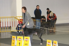 cacib_poznan_2005_06