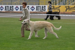 cacib_2005_01