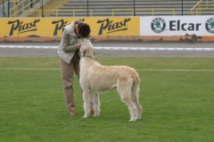 cacib_2005_02
