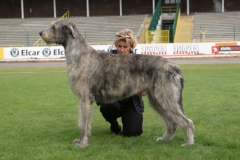 cacib_2005_03