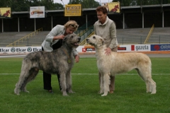 cacib_2005_04