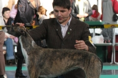 2007_11_10_30