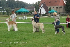 swornegacie_2006_18