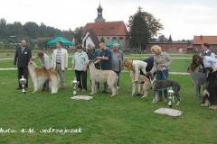swornegacie_2006_19