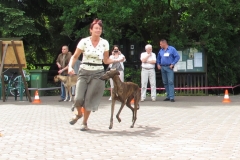 2012_05_26_07