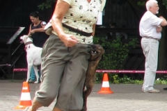 2012_05_26_08