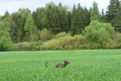 2011_05_01_06